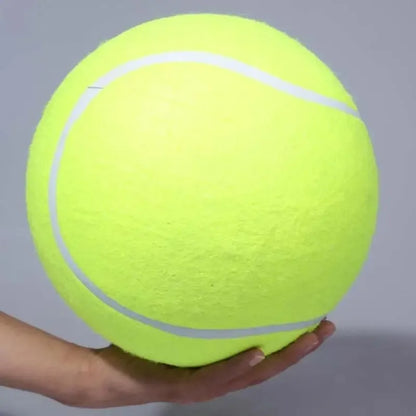 🎾 Pelota Gigante para Perros