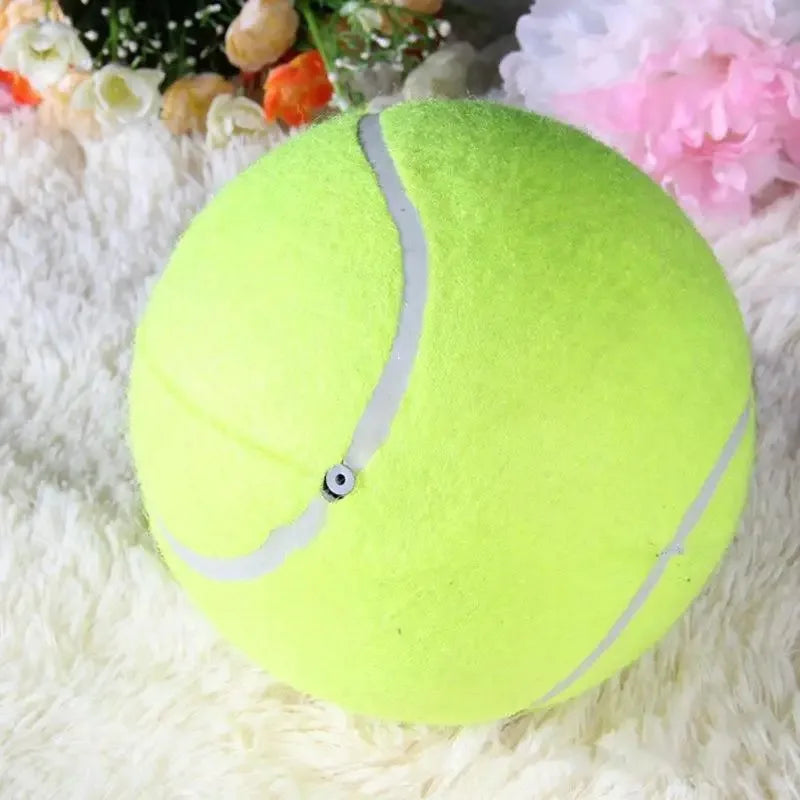 🎾 Pelota Gigante para Perros