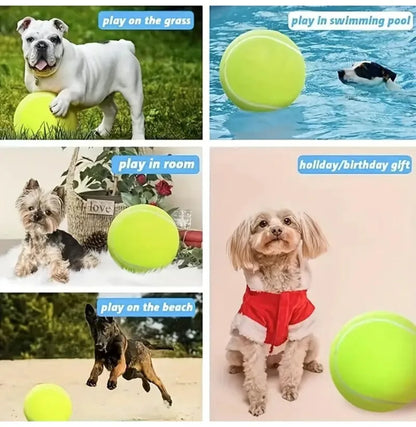 🎾 Pelota Gigante para Perros