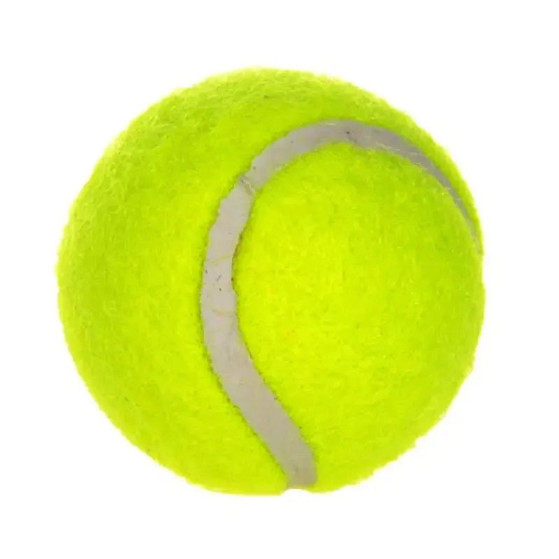 🎾 Pelota Gigante para Perros