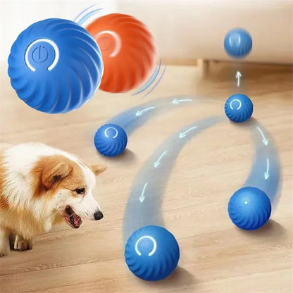 🟠 Pelota Interactiva para Perros y Cachorros