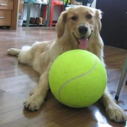 🎾 Pelota Gigante para Perros