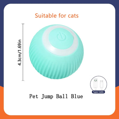 🟠 Pelota Interactiva para Perros y Cachorros