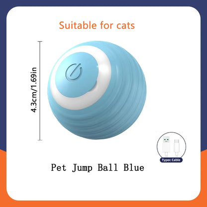 🟠 Pelota Interactiva para Perros y Cachorros