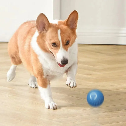 🟠 Pelota Interactiva para Perros y Cachorros