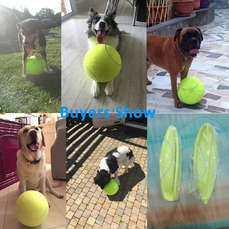 🎾 Pelota Gigante para Perros