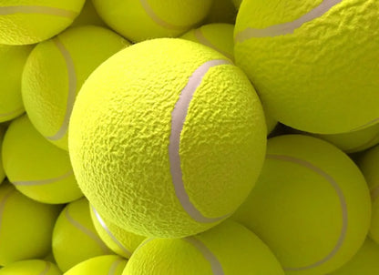 🎾 Pelota Gigante para Perros