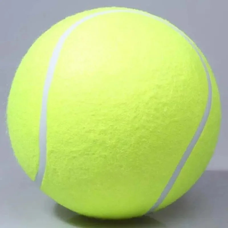 🎾 Pelota Gigante para Perros