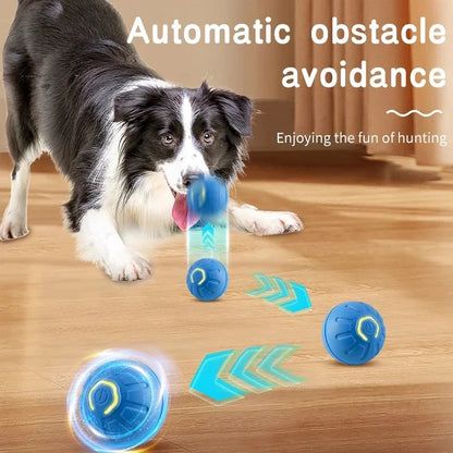 🟠 Pelota Interactiva para Perros y Cachorros