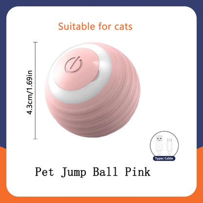 🟠 Pelota Interactiva para Perros y Cachorros