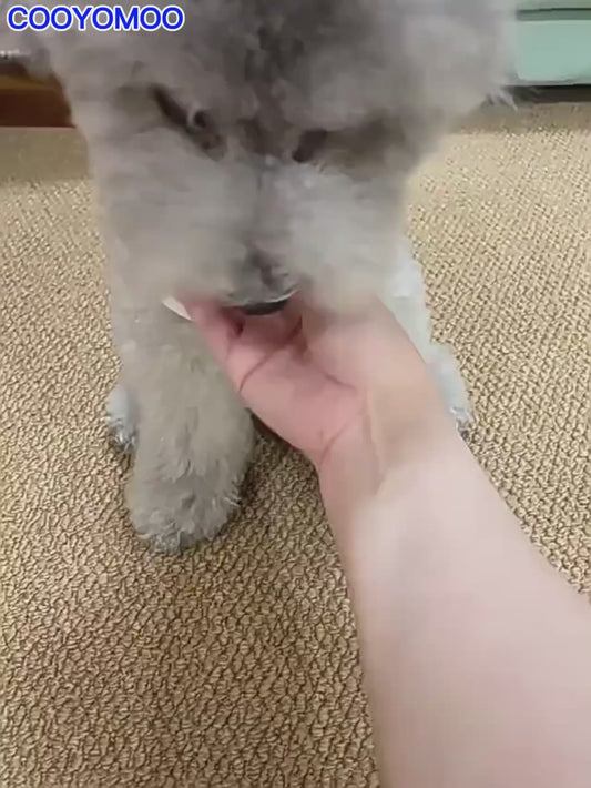 🟠 Pelota Interactiva para Perros y Cachorros